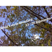 What's on 13 - 20 September
