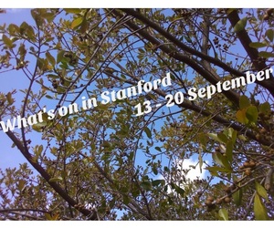 What's on 13 - 20 September