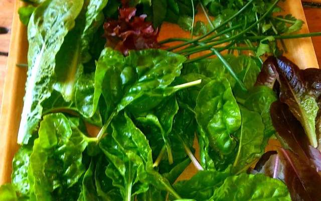 40641895_940673282807437_148234568518860800_o_1536925489