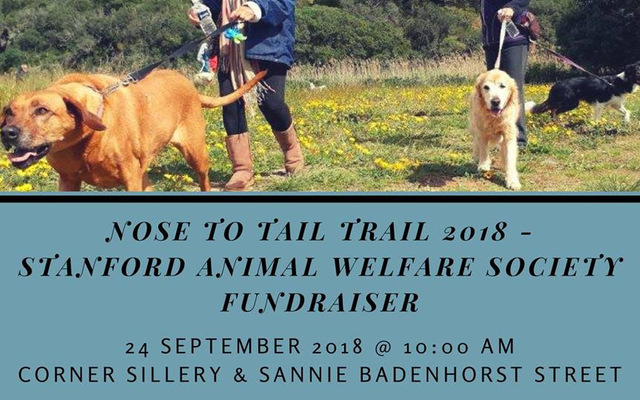 unnamed_88__1537448484