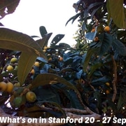 What's on 20 - 27 September