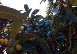 What's on 20 - 27 September