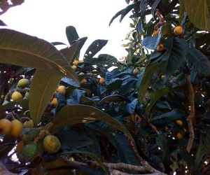 What's on 20 - 27 September