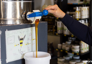 Where to find Raw Quality South African Honey?