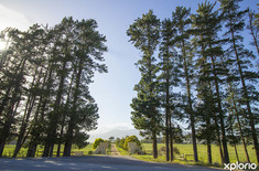 kleinmond_accommodation_njr_cottage_outside_view_1537944520