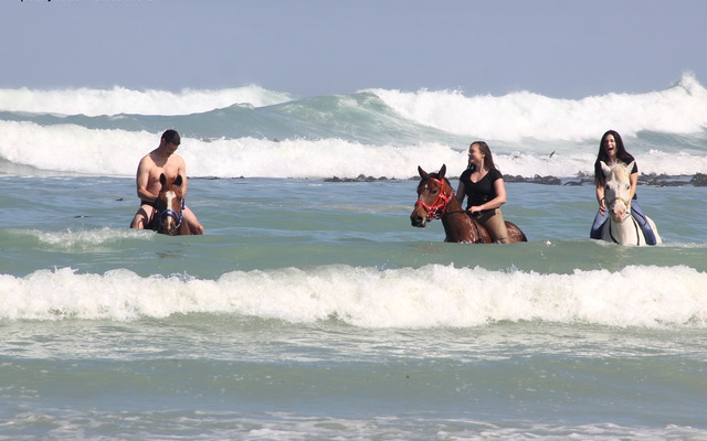 #Gansbaai & Pearly Beach Horse Trails