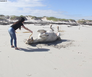 Premium Beach Trails = Premium Bucket List Dreams..