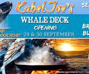 KabelJoe's Whale Deck