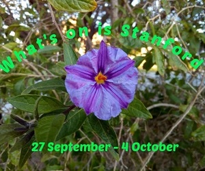 What's on 27 - 4 October