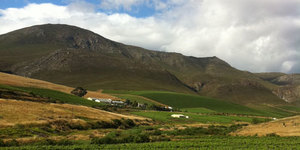 things_to_do_wine_tours_farms_1538563060