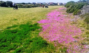 OCTOBER COMPETITIONS 