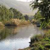 River Rat Boat Cruises