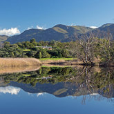 River Rat Boat Cruises
