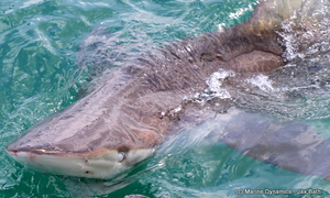 Daily Blog 16 October 2018