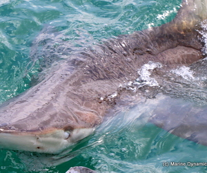 Daily Blog 16 October 2018