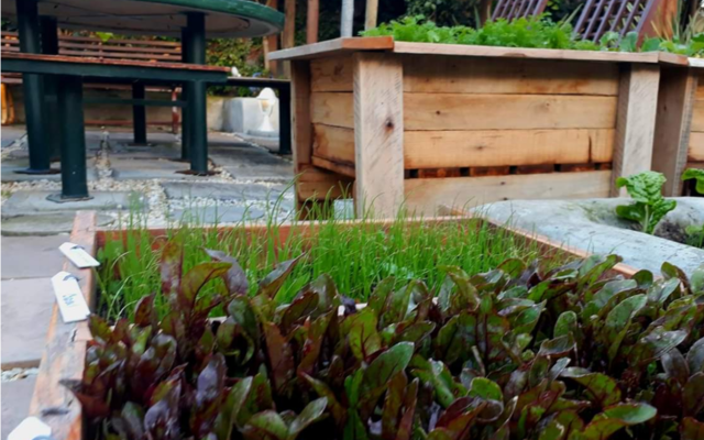 20181016_004029_1539856594