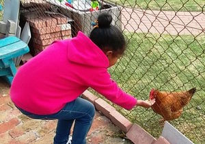 A New Girl at School