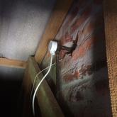 Project Completed (exterior toilet) - Christo Electrical & Services (Pty) Ltd - Xplorio™ Kleinmond