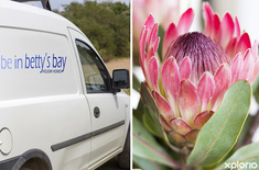 bettys_bay_home_cleaning_service_be_in_bettys_bay_branded_vehicle_1540894772