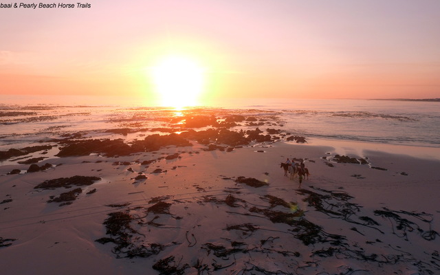 Pearly Beach Horse Trails