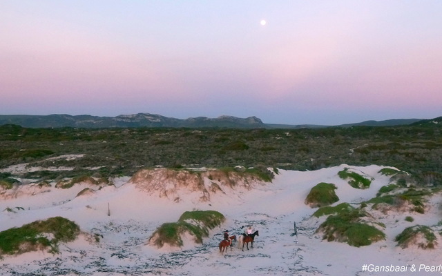 Pearly Beach Horse Trails