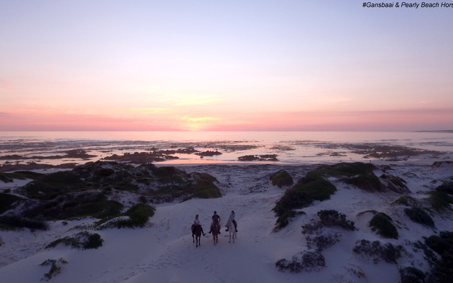 Pearly Beach Horse Trails
