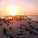 #Gansbaai & Pearly Beach Horse Trails.