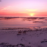 Sunset & Full Moon Beach Trail