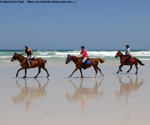 Canters, Swims, Sunsets & Champagne...