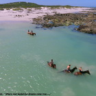 Gansbaai & Pearly Beach Horse Trails