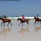 Gansbaai & Pearly Beach Horse Trails