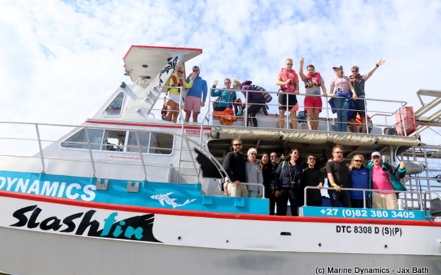 shark_watching_5__1542184865