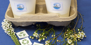 pringle_bay_businesses_k_and_s_eco_packaging_coffee_mugs_in_tray_eco_friendly_1535722910_1542269872