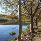 Wallovale Vineyards Wallovale Vineyards