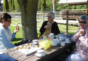 Seemeeu November 2018