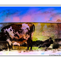 Private Gallery Napier