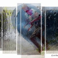 Private Gallery Napier