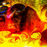 Private Gallery Napier