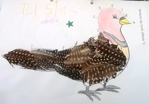 Doen en Late at School