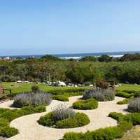 Garden - Brigadoon Village - Betty's Bay