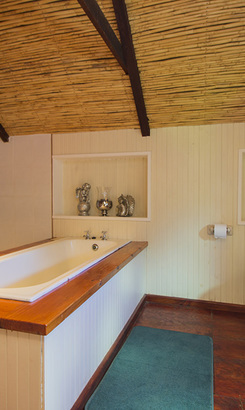 napier_accommodation_el_gallo_guest_accommodation_loft_bathroom_1543398857