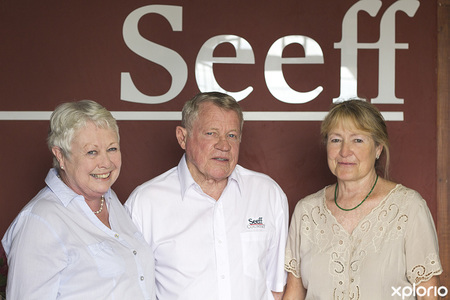 napier_realty_estate_agents_seeff_napier_team_1543579778