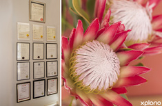 napier_realty_estate_agents_seeff_napier_qualifications_1543579902