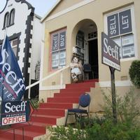Seeff Napier office with Patatfees Scarecrow