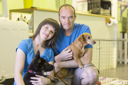 hermanus_animals_pet_care_grooming_canine_couture_owners_1544798069