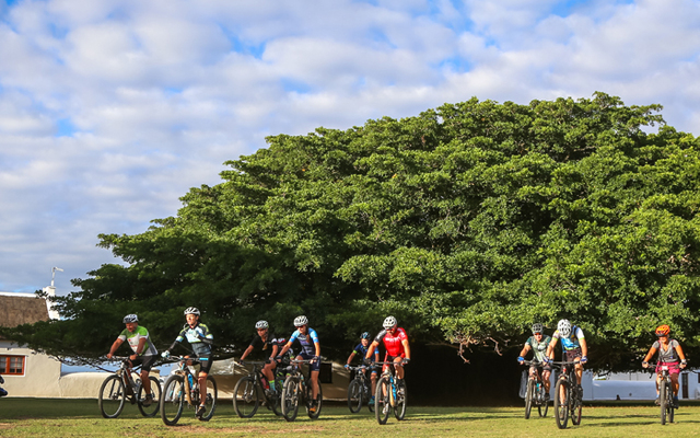 MTB_Xplorio3_1544520373 MTB_Xplorio3_1544520373