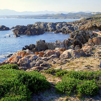 Land Whale Watching Experience