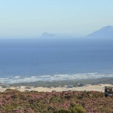 Gansbaai - Grootbos - Flower Safari
