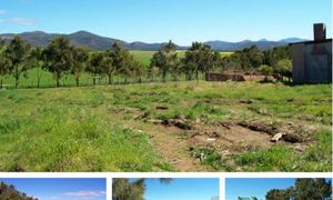 8 Protea Avenue, Napier