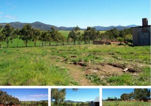 8 Protea Avenue, Napier